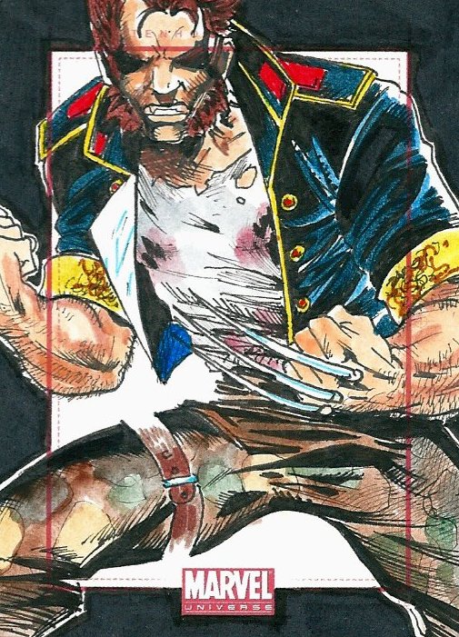 Marvel Universe 2014- House of M- Wolverine by robomonkey147 on DeviantArt