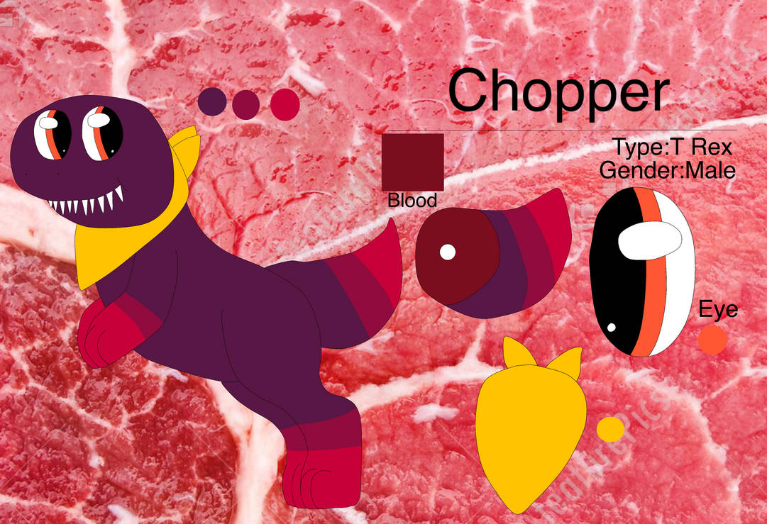 Chopper Reference Chopper Reference Sheet by meghan12345 on DeviantArt