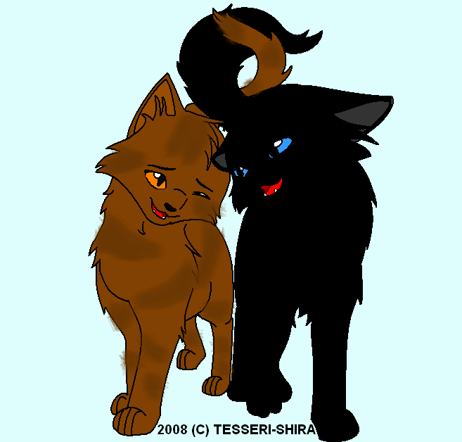 Clans of Warrior cats by bleachIchiRuki69357 on DeviantArt