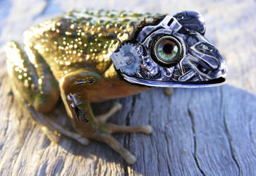 Mechanical Toad