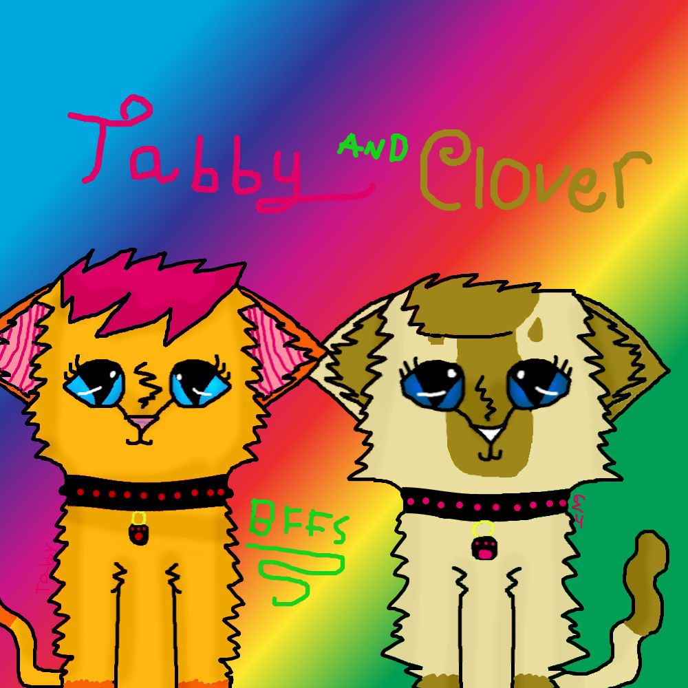 Tabby and Clover bffs