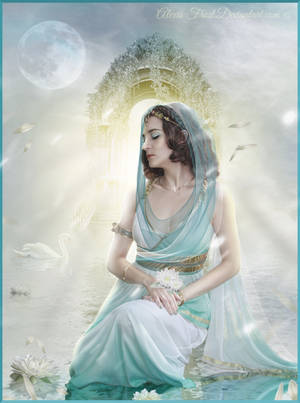 Essence of a Lotus by FrostAlexis Essence of a Lotus by FrostAlexis