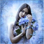 Forget Me Not...