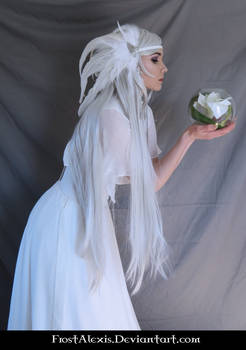In White (9)