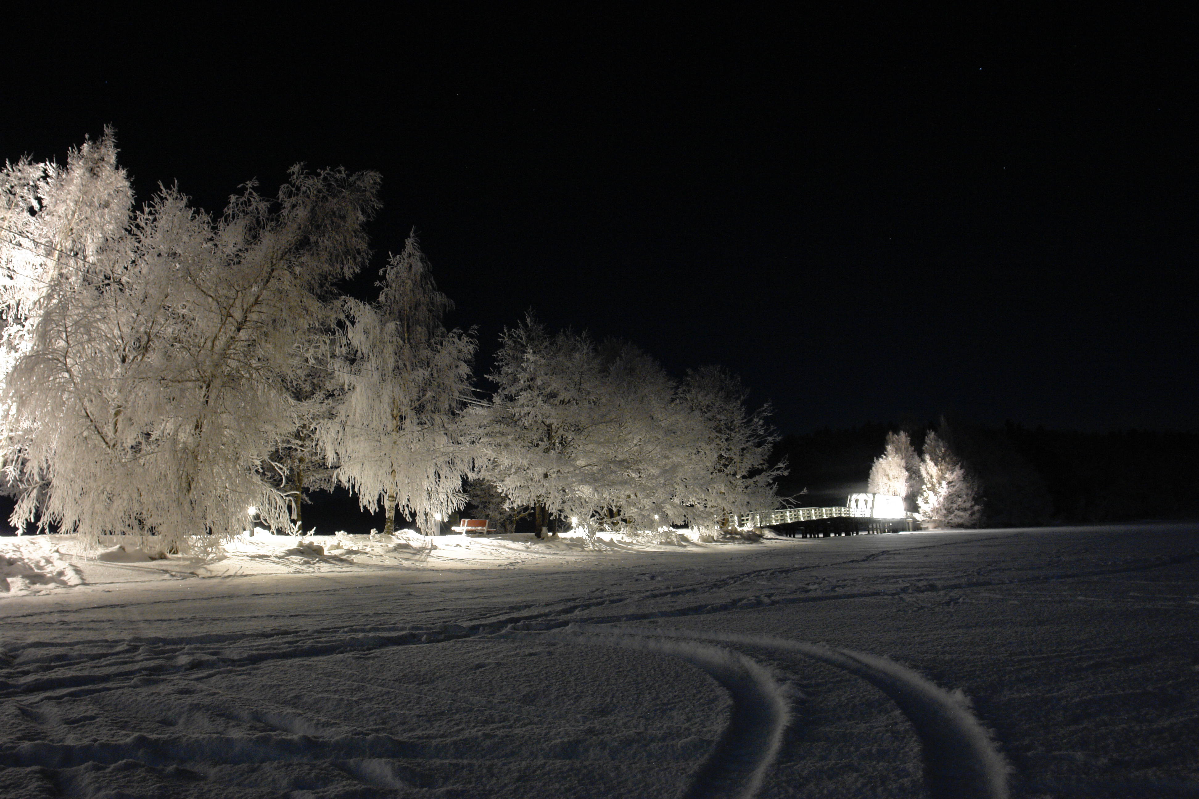 Winter view in the night