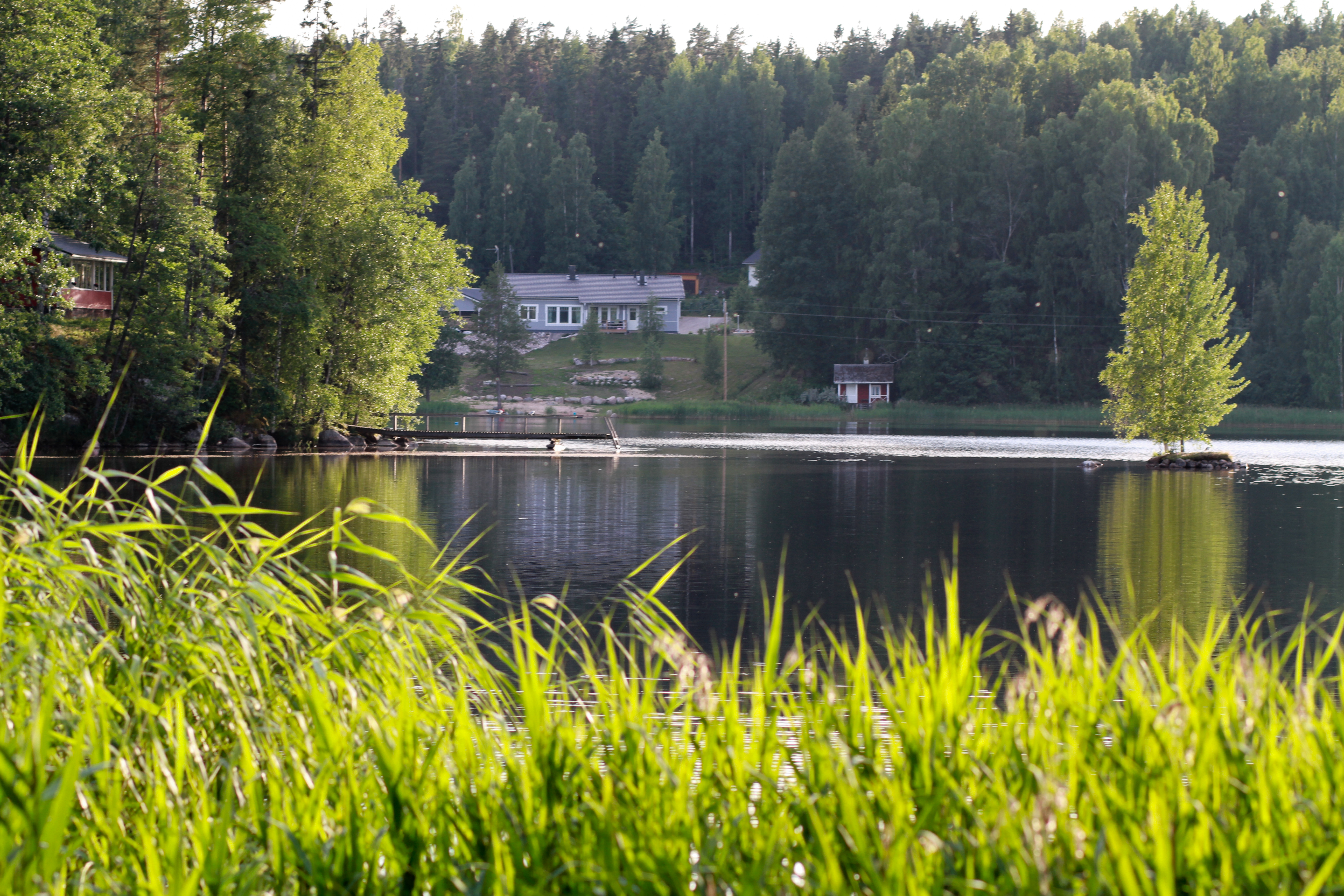 Finnish pond wiev