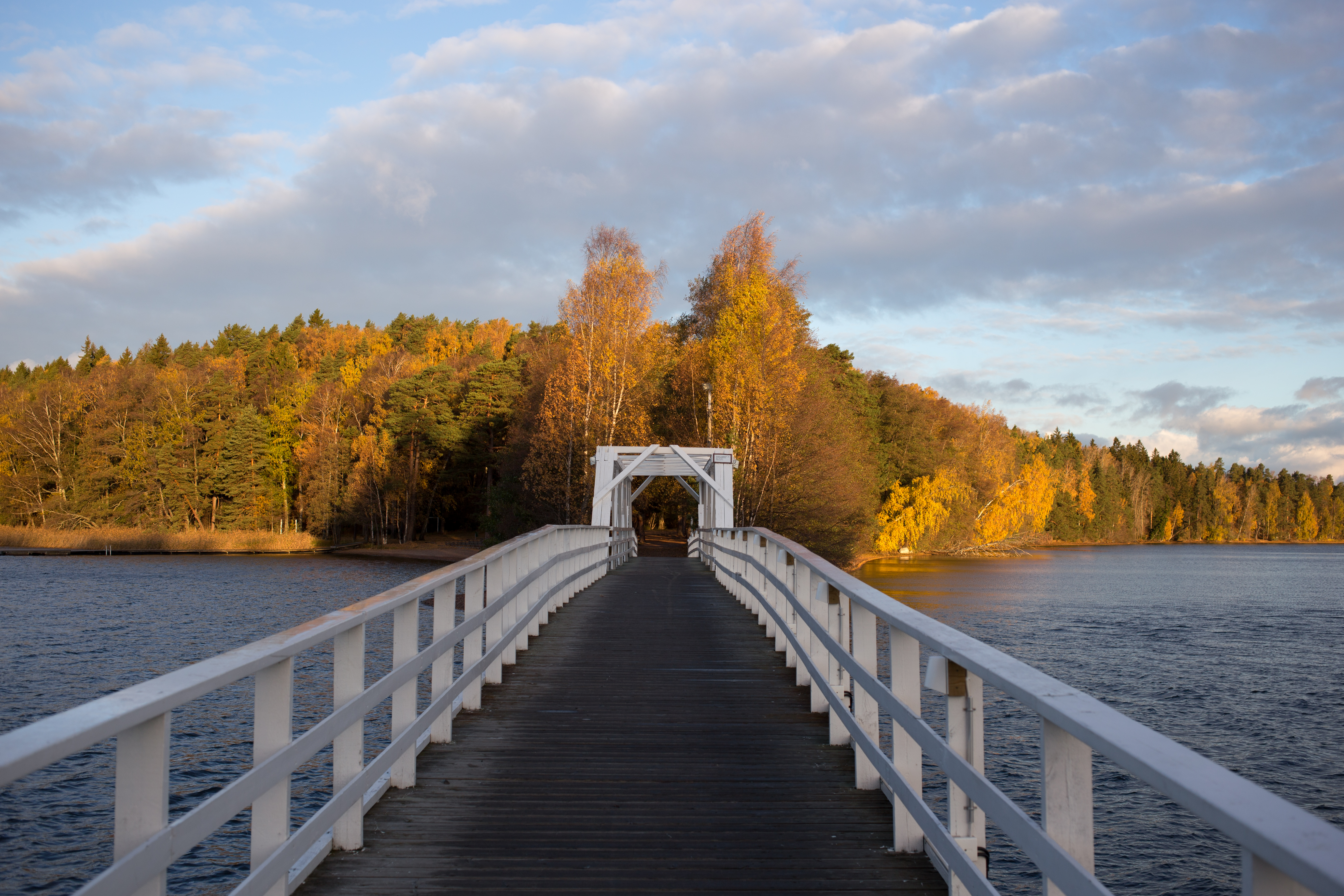 Autumn landscapes