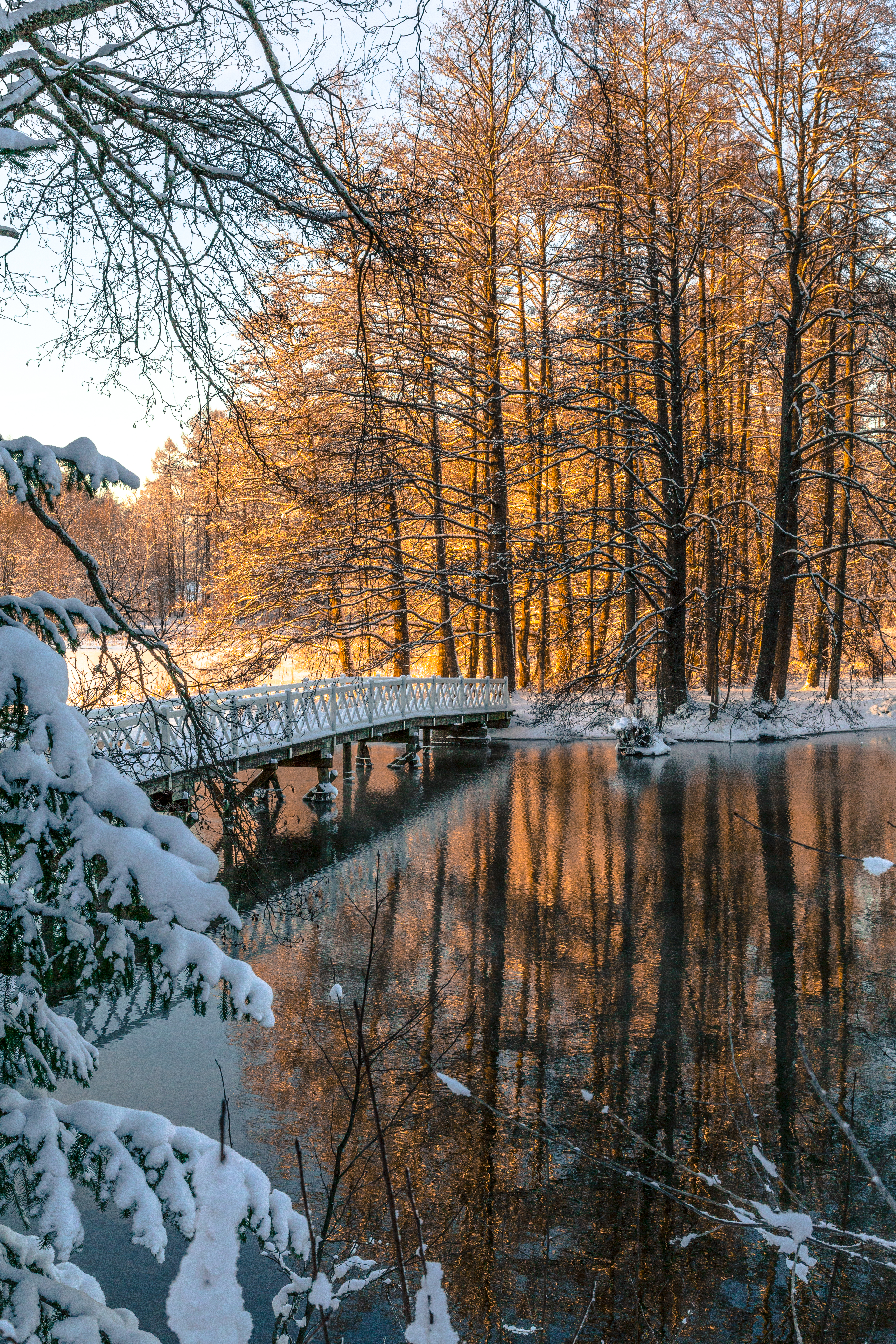 River in winter