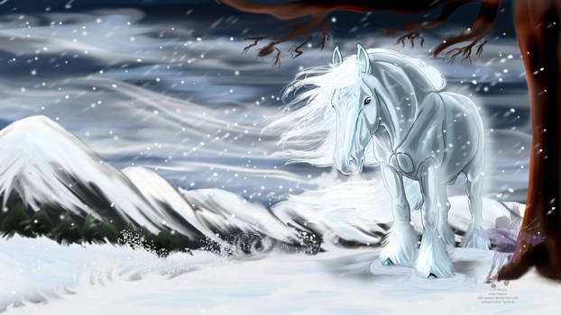 Winter the Stallion