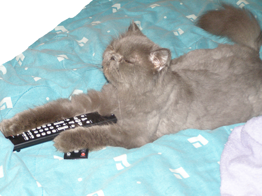 Ur Remote. I Haz it.