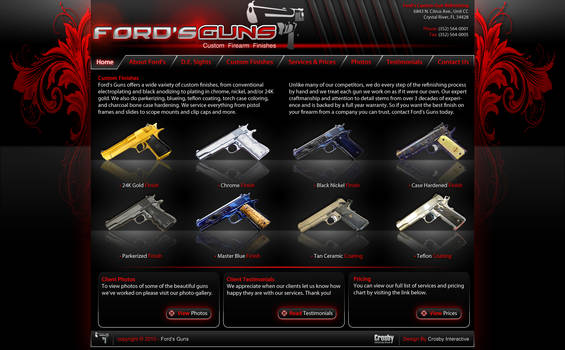 Ford's Guns website design