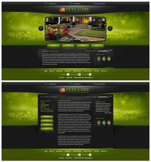 Full Care site design concept2