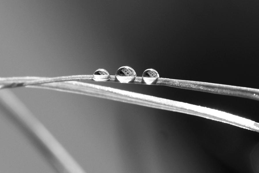 three beads on a line