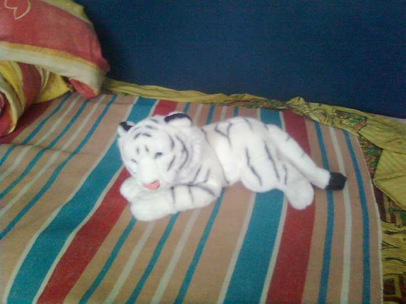 LOL I HAVE WHITE TIGER FROM FLYFF FLY FOR FUN