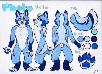 Photo the Fox Traditional Ref