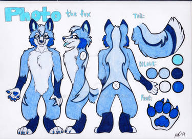 Photo the Fox Traditional Ref