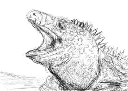 Iguana Sketch