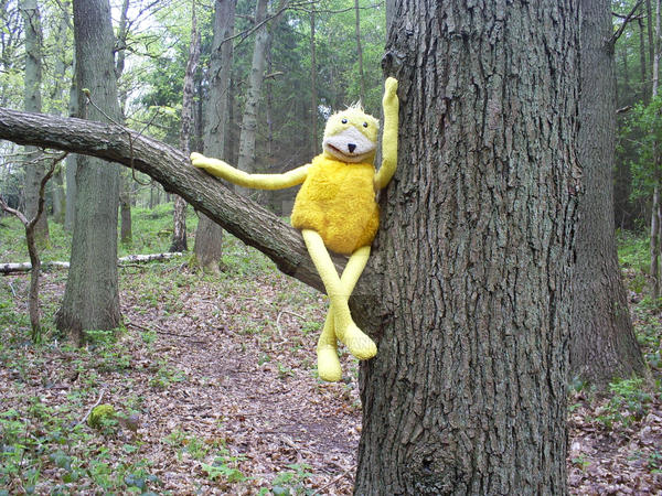 Rambling with Eric by sunrise103 on DeviantArt