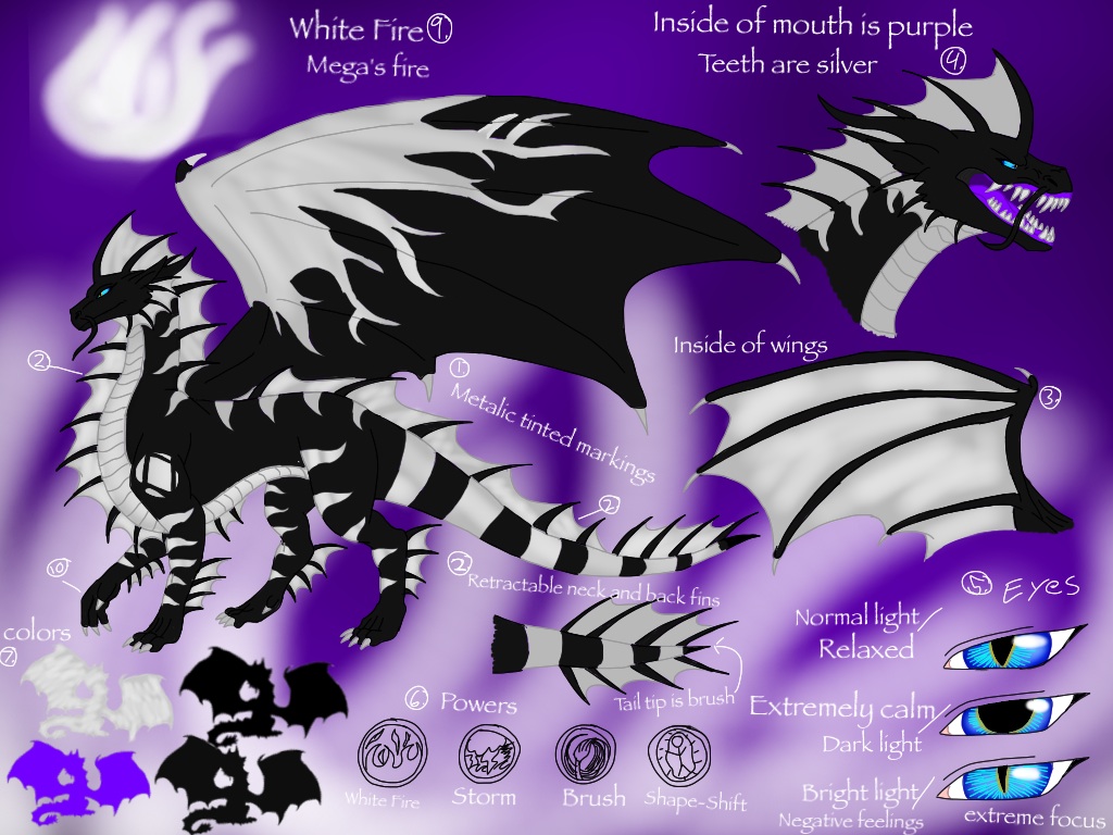 Megadragon Reference Sheet 2014