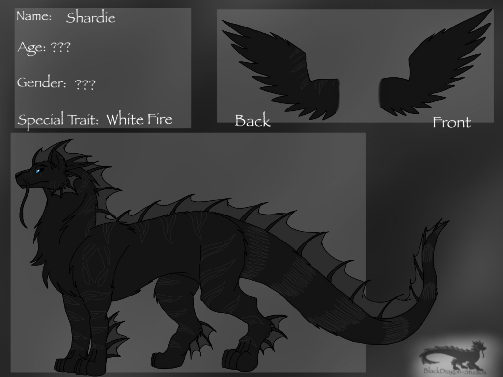 Shard Reference Sheet 2019 by Tank-Dragon on DeviantArt