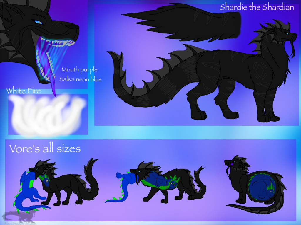 Shard Reference Sheet 2019 by Tank-Dragon on DeviantArt