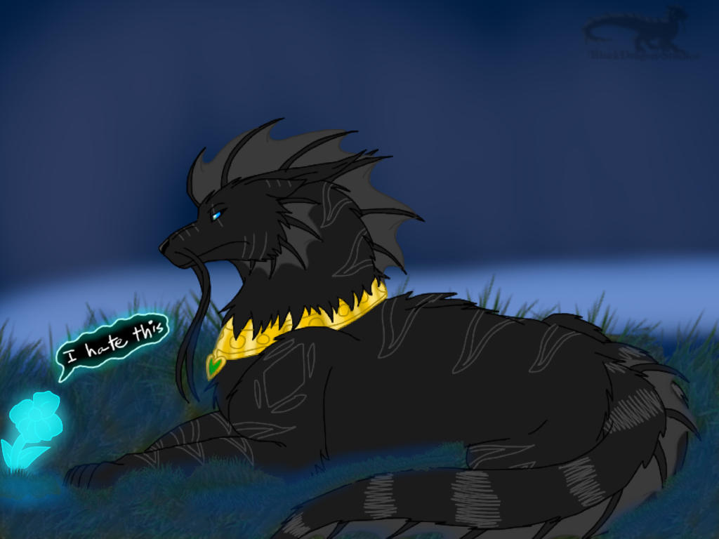 SharDin: Reflection by BlackDragon-Studios on DeviantArt