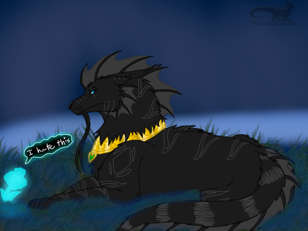 SharDin: Reflection by BlackDragon-Studios on DeviantArt