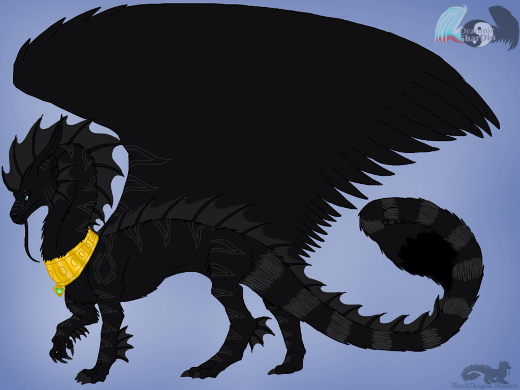 Draconic-SharDin: Shardie -updated- by BlackDragon-Studios on DeviantArt