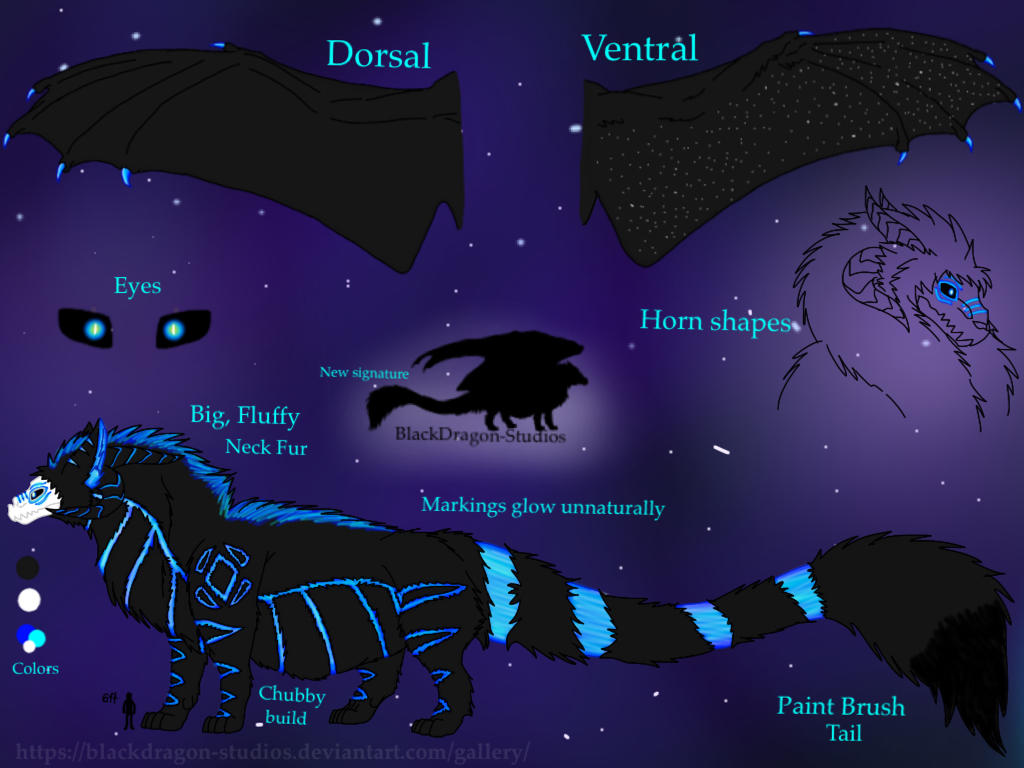 Reference Sheet BlackDragon Fursona By BlackDragon Studios On DeviantArt