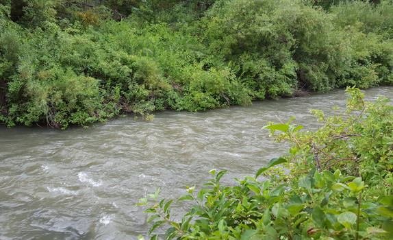 Raging River - Ogden, Utah