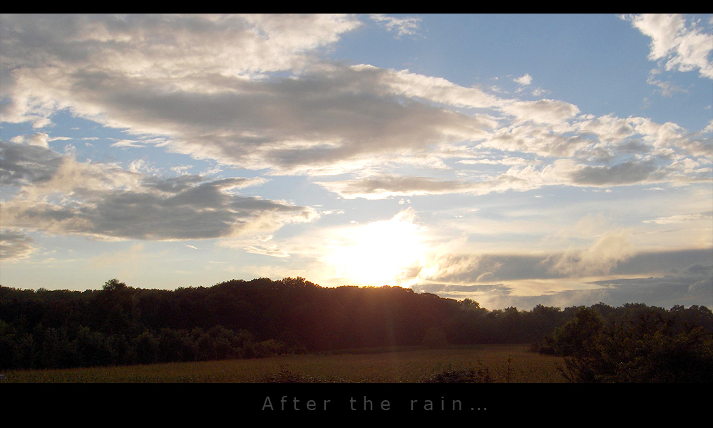 After the rain..