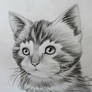 Animal Drawing - The Kitten