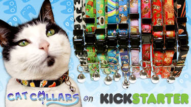 Cat Collars with PURRsonality on Kickstarter!