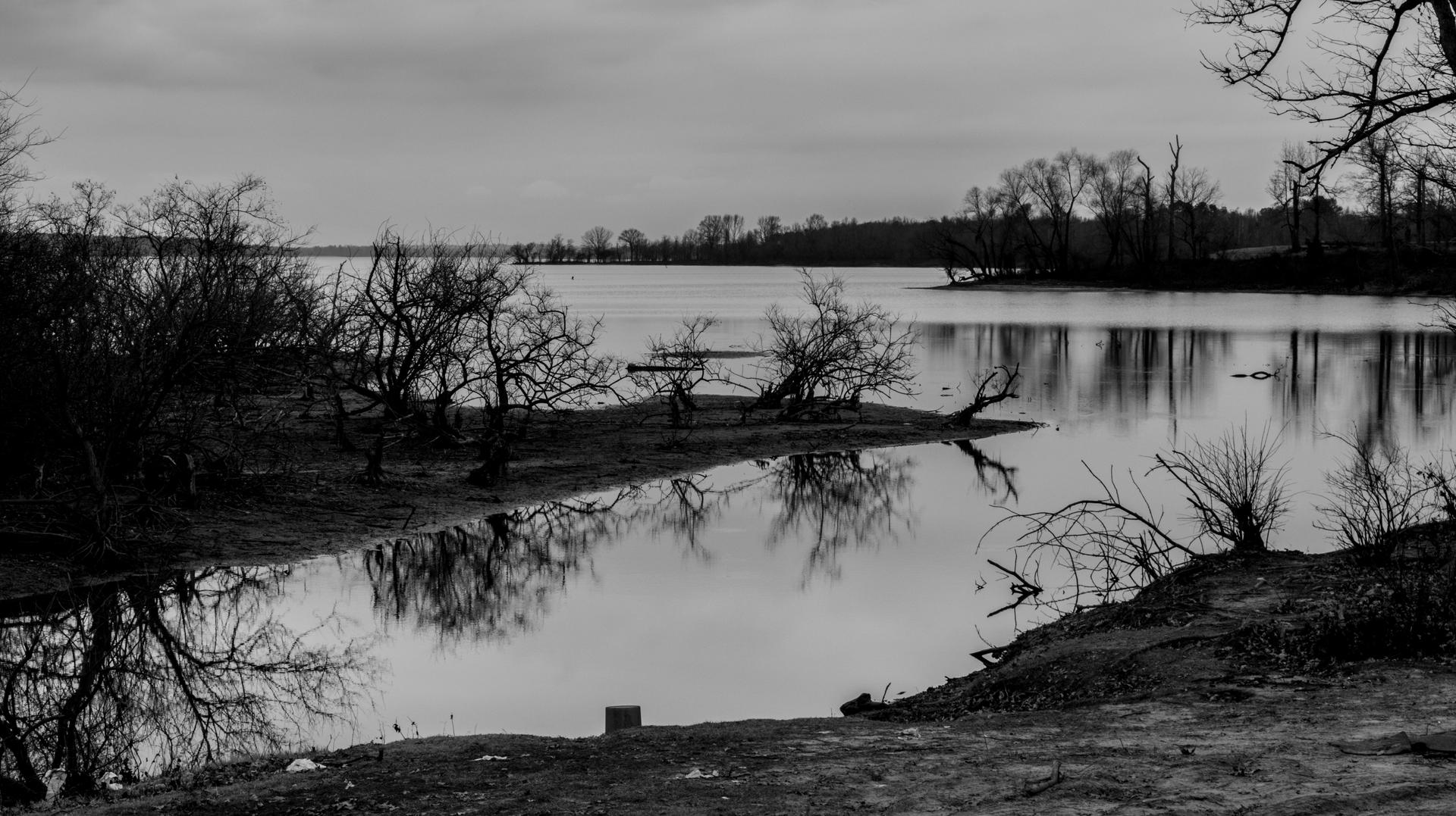 Bring Back Spring by wrc233 on DeviantArt