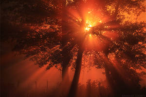 Epic Sunrays by MaximeCourty