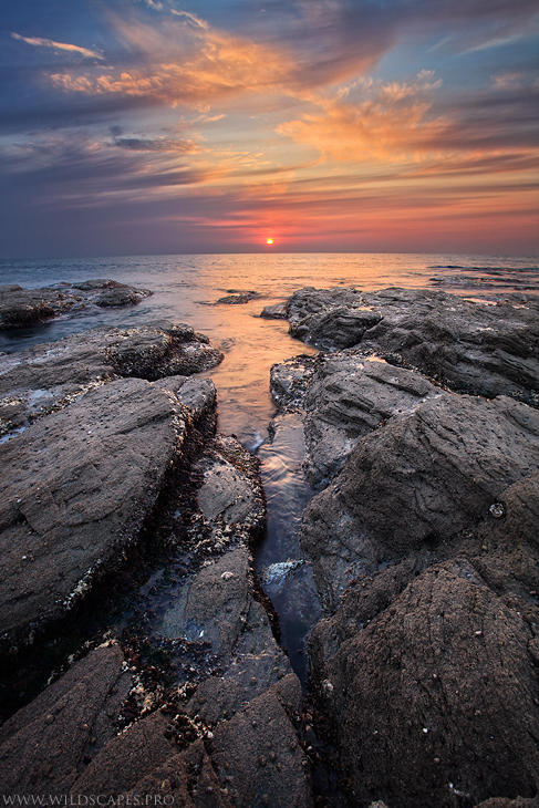 The Soothing Ocean