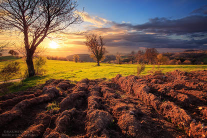 Farmland