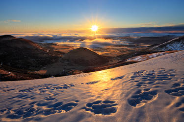 Sunburst over the Winter Land by MaximeCourty