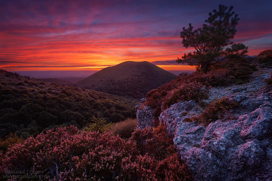 At the very end of the Day by MaximeCourty