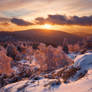 Winter Sunset