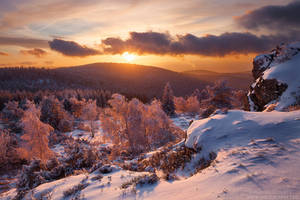 Winter Sunset by MaximeCourty