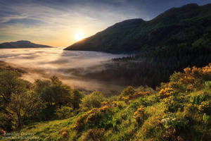 Mist in the Valley by MaximeCourty