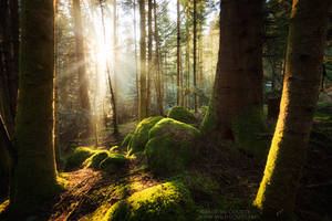 Underwood Illumination by MaximeCourty