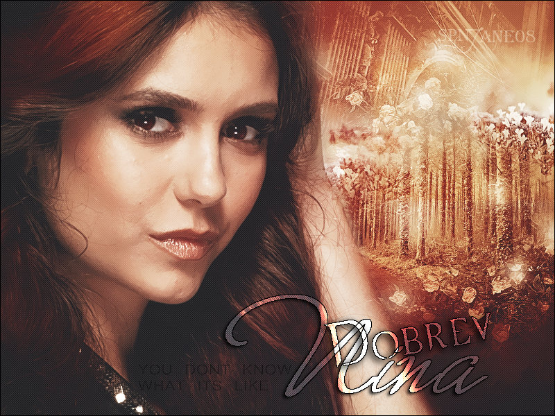 Katherine Pierce.  Katherine pierce, Vampire diaries, Vampire