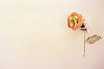The Flowers by iremdogan