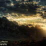 Saguaro Sunrise