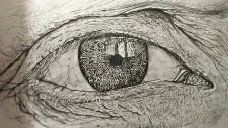 eye pencil drawing