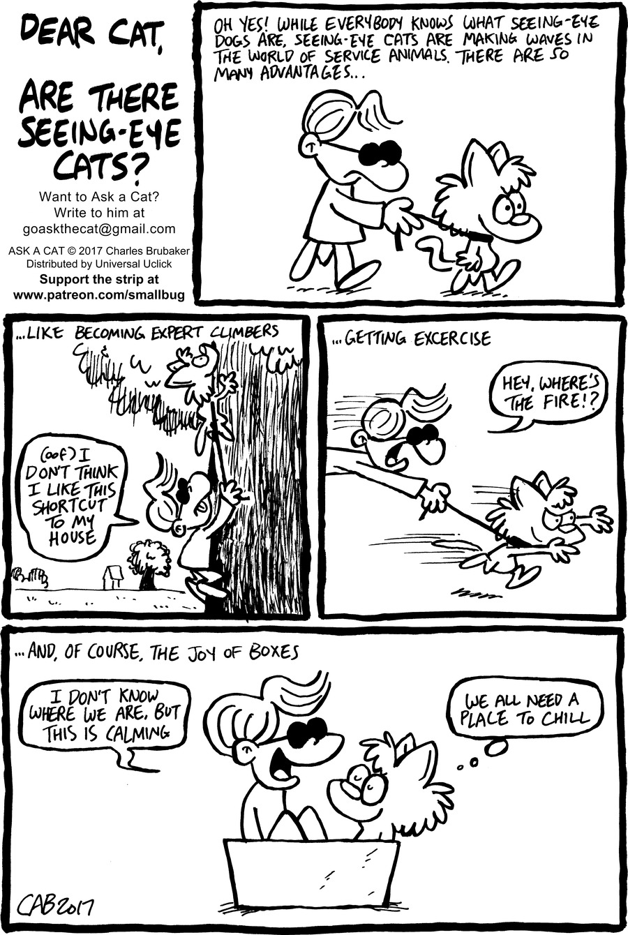 ASK A CAT: Seeing Eye Cat