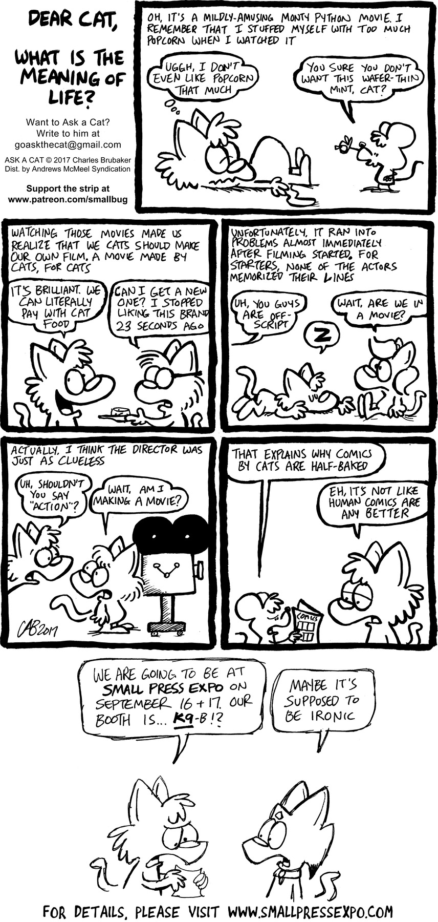 ASK A CAT: Meaning of Life