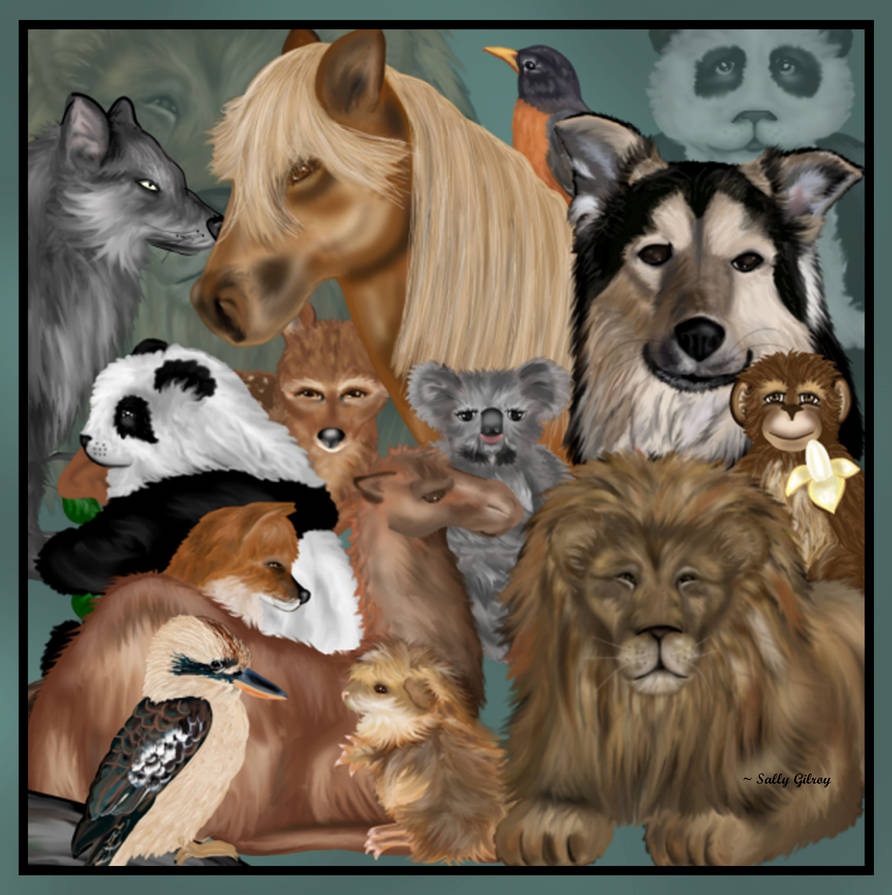 All Animals Deviantart Animals animals animals by sallygilroy on DeviantArt